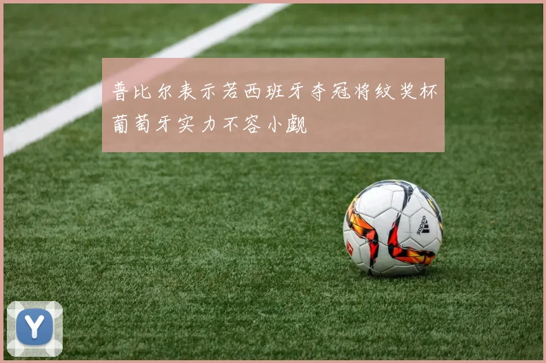 普比尔表示若西班牙夺冠将纹奖杯葡萄牙实力不容小觑