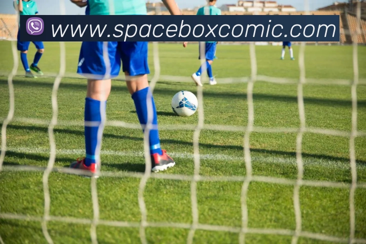 企业概况